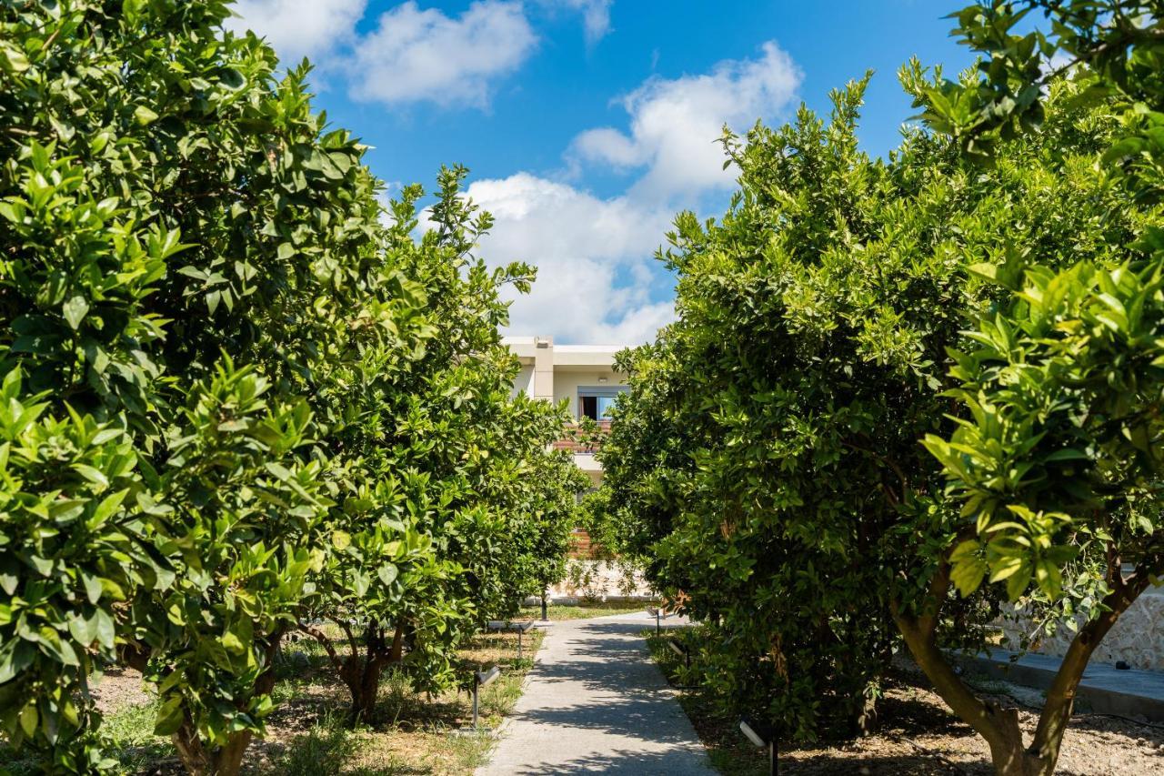Ilyssion Holidays Hotel Ialysos  Ngoại thất bức ảnh